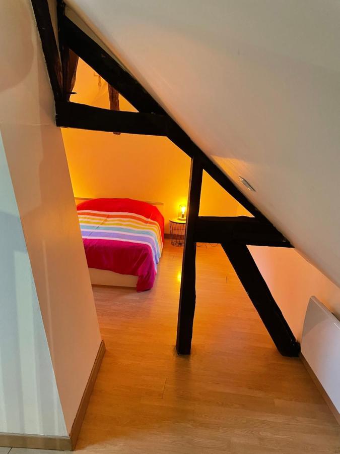 Appartement Complet Hyper Centre Auxerre Esterno foto