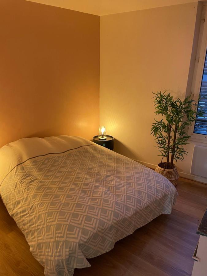 Appartement Complet Hyper Centre Auxerre Esterno foto
